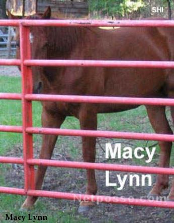 Macy Lynn